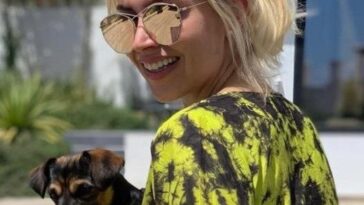 Foto: Instagram / Arnold Schwarzenegger the dog